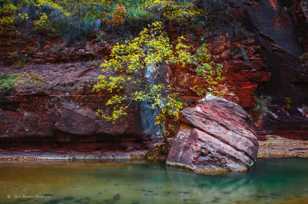 Zion Canyon, Fall-4550.jpg